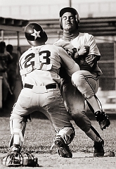 At the Plate